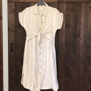 Mauve for Anthropologie